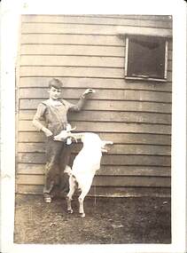 Photograph - Boy and goat, Butcher family farm, Fisherman's Bend, 1920s