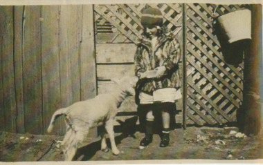 Photograph - Child and lamb, Butcher family farm, Fisherman's Bend, 1920s