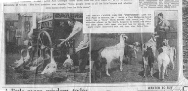 Newspaper clipping with a photograph of a man hand-feeding some geese on the left and one of a man carrying a large basket and feeding several goats on the right.