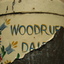 Closeup of what remains of the name "Woodruff's Dairy" on a milk churn painted with colourful flowers on a cream background. The paint has peeled badly so the last few letters of each word are no longer visible.