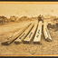 Sepia photograph of five pieces of timber with two indistinct figures in the background. The handprinted names of each piece of timber has been added to the photograph later.