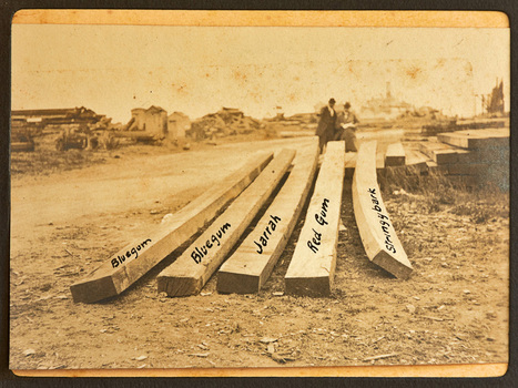 Sepia photograph of five pieces of timber with two indistinct figures in the background. The handprinted names of each piece of timber has been added to the photograph later.