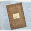 2529 - Minute Book, Public Works Committee, Borough of Sandridge