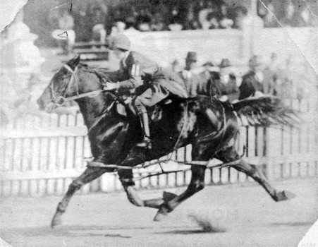 3667.04 - Pearl Kelly riding a trotter in harness (but without sulky) at Royal Melbourne Show