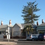 3684 - Removal of large tree at 251 Bridge St, Port Melbourne, 3 June 2006