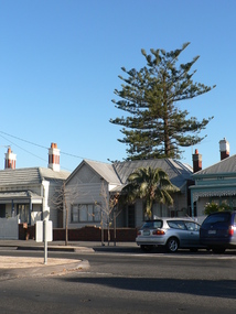3684 - Removal of large tree at 251 Bridge St, Port Melbourne, 3 June 2006