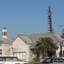 3684 - Removal of large tree at 251 Bridge St, Port Melbourne, 7 June 2006