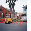 1421.17 - Destruction of the Port Jackson fig tree which stood in the grounds of the Holy Trinity church until December 1999