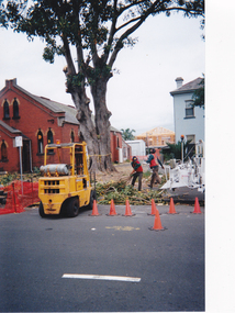 1421.17 - Destruction of the Port Jackson fig tree which stood in the grounds of the Holy Trinity church until December 1999