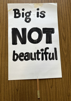 White cardboard placard attached to a wooden handle with black hand-printed slogan - Big is NOT beautiful