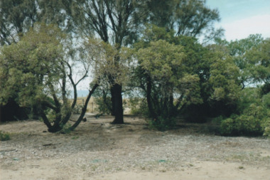 Photograph - Perce White Reserve, Port Melbourne, Nov 2008