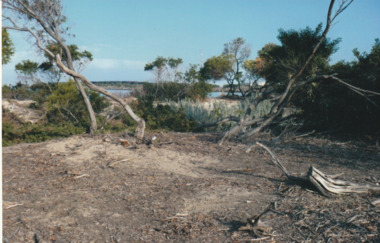 Photograph - Perce White Reserve, Port Melbourne, 16 Jun 2009