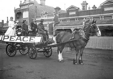 Photograph - Peace Wagon in Stokes Street