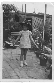 Photograph