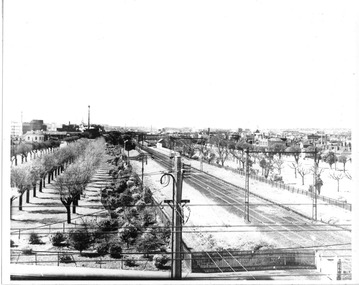 Photograph - Railway Reserves from Bridge Street