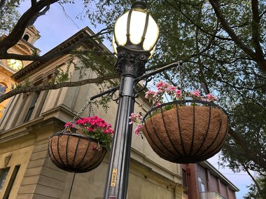 Photograph - Port Melbourne Town Hall - Hanging Garden, 2026