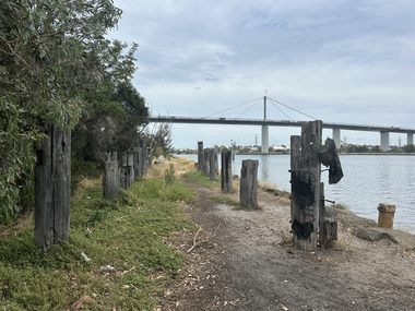 Photograph - Rotten Row - Fishermans Bend, 29 Jan 2026