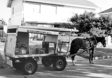 Photograph - Port Melbourne Milkman Claude Butcher with cart and horse in Garden City, late 1970s