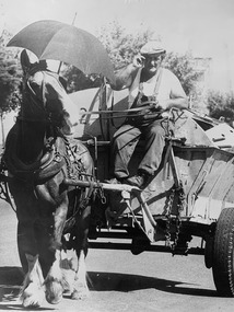 Photograph - Wiliam "Doc" DOHERTY driving PMCC rubbish cart