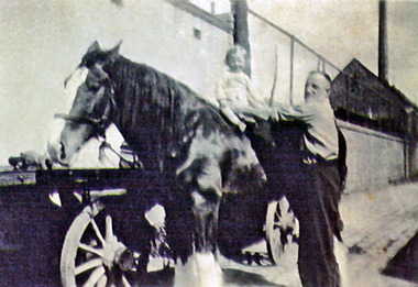 Photograph - Barry Bond on his grandfather's cart horse, c1947