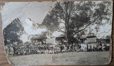 Poster - Garden City Progress Association, first annual picnic, 17 Feb 1929