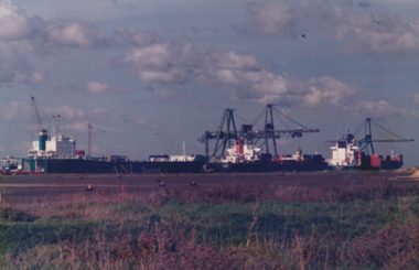 Photograph - Shipping using Webb Dock, Williamstown and various River Yarra berths. Searoad Tamar, Antwerpen, Contship Jung, Ron Laing, 1986 - 1999