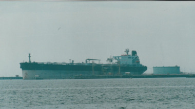 Photograph - Shipping using Webb Dock, Williamstown and various River Yarra berths. Ionikos, Ron Laing, 1986 - 1999