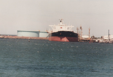 Photograph - Shipping using Webb Dock, Williamstown and various River Yarra berths. Palm Monarch, Ron Laing, 1986 - 1999