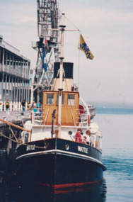 Photograph - Various ferries working from Station Pier, Port Melbourne. Wattle, Ron Laing, 1986 - 1999