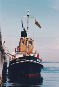 Photograph - Various ferries working from Station Pier, Port Melbourne. Wattle, Ron Laing, 1986 - 1999