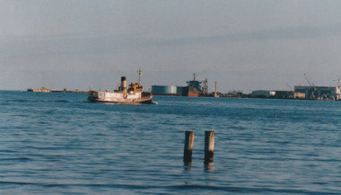 Photograph - Various ferries working from Station Pier, Port Melbourne. Wattle, Ron Laing, 1986 - 1999