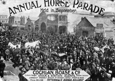 Annual horse Parade Coghlan Boase grayscale