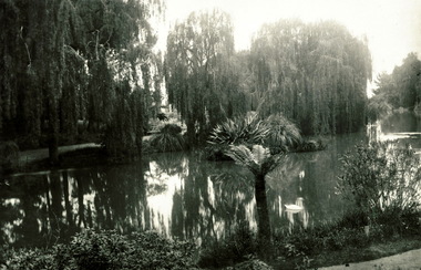 Buninyong Gardens (perhaps)