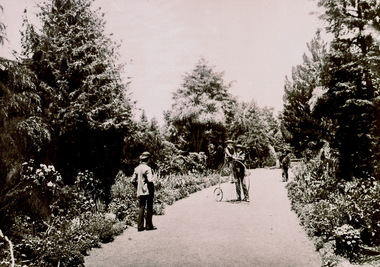 Botanical Gardens