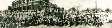 Sunshine Biscuit Staff