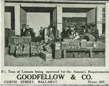 Goodfellow & Co