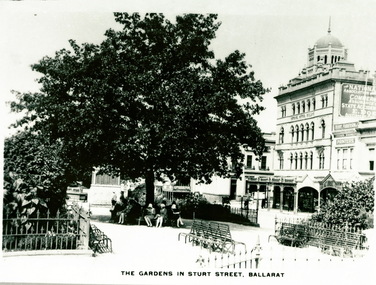 Sturt St Gardens