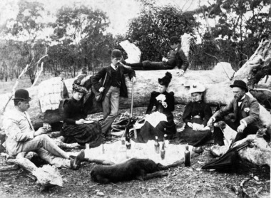 Bush Picnic