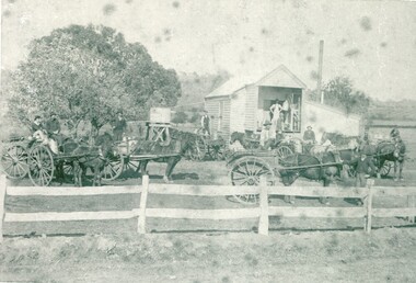 Horses outside a house