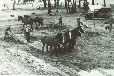 Horse team ploughing