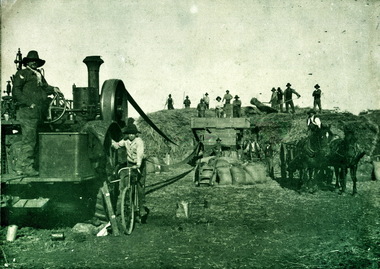 Harvesting