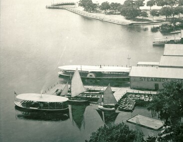 Aerial view lake and steamers