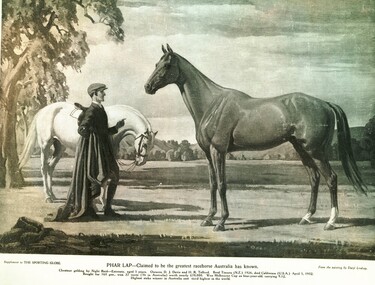 Phar Lap Print
