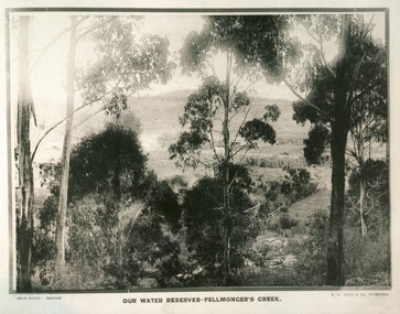 Water Reserves, Fellmonger's Creek