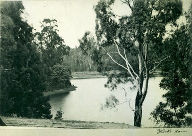 Kirk's Dam
