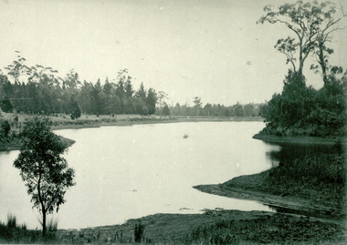Kirk's Dam
