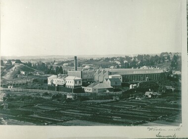 Sunnyside Woollen Mill
