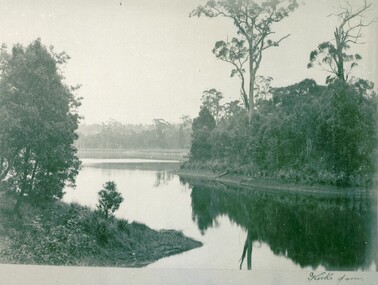 Kirk's Dam