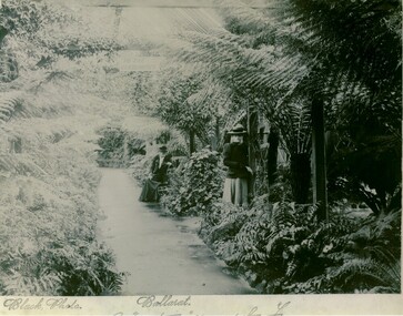 Gardens inside the Fernery