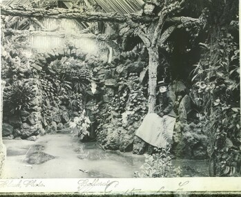 Inside the Fernery